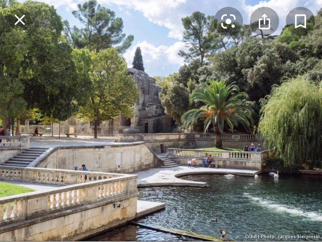 Saint-Laurent-la-Vernède Gite Les Oliviers 10 Pers Piscine Au Calme 4 Etoiles מראה חיצוני תמונה